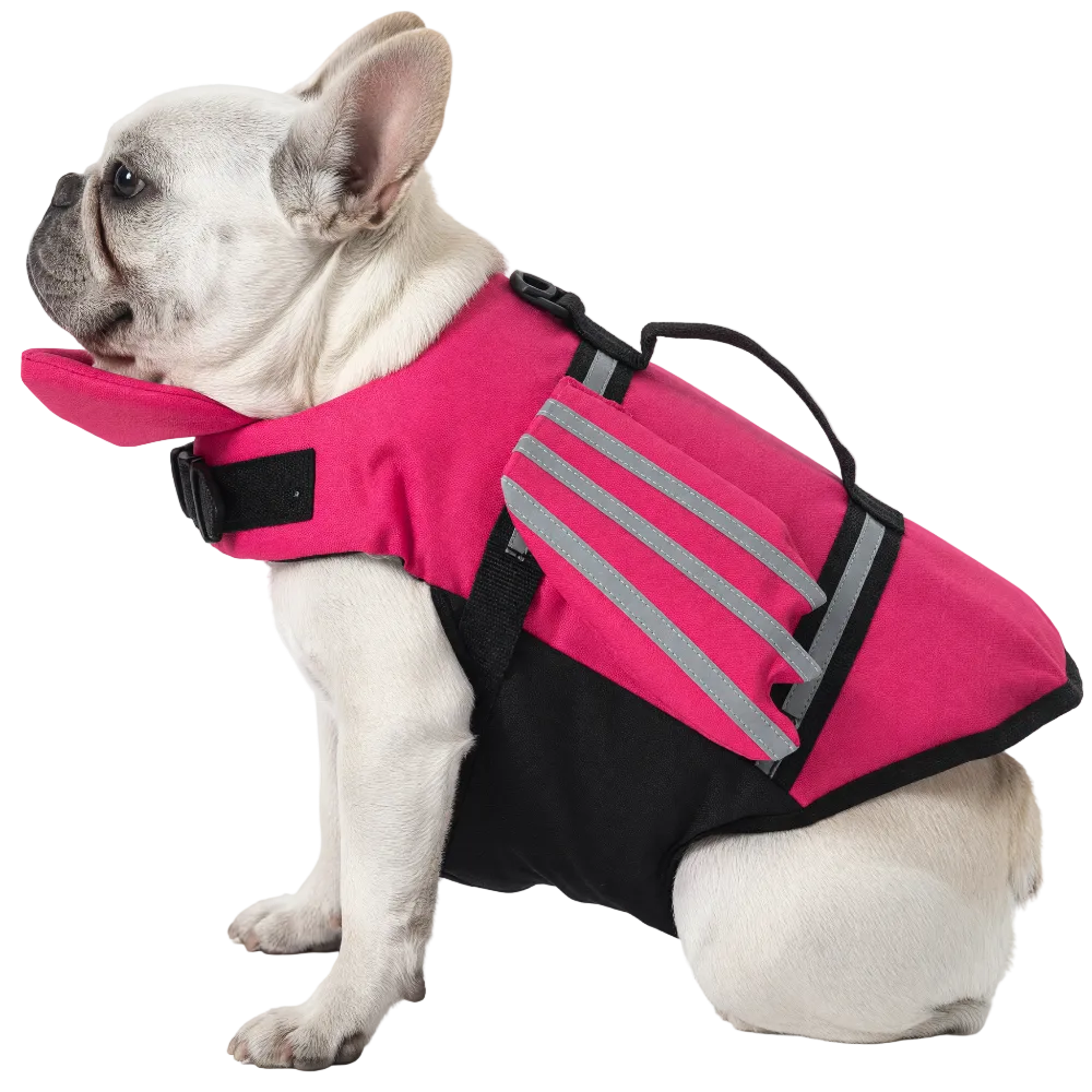 PlamePaw™  Dog Life Jacket